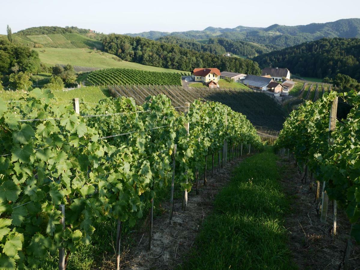 Holiday Home Winzerhaus Eva Spicnik Bagian luar foto