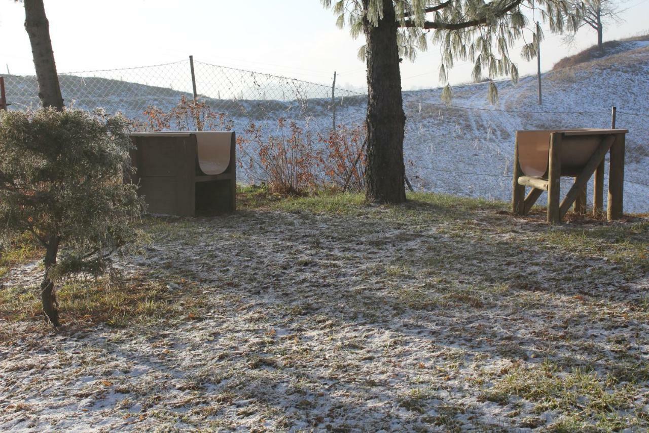 Holiday Home Winzerhaus Eva Spicnik Bagian luar foto