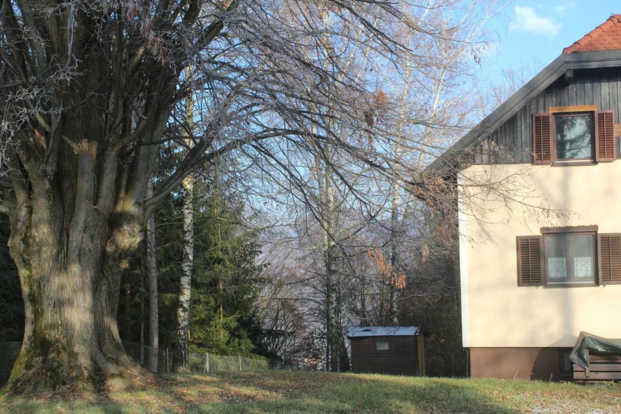 Holiday Home Winzerhaus Eva Spicnik Bagian luar foto